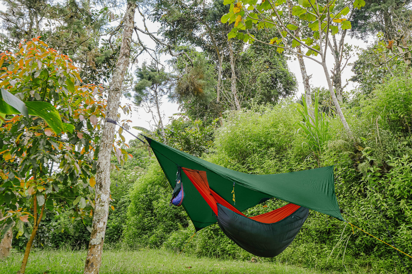 Hammock Tarp 1