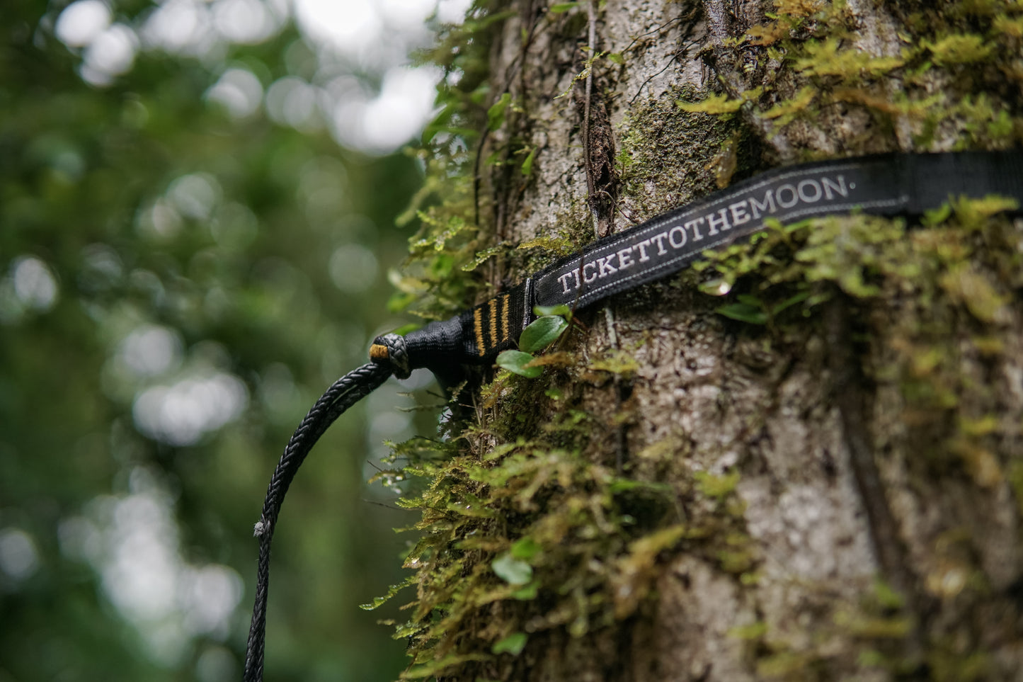 Sangles Légères Protectrice des Arbres Canada