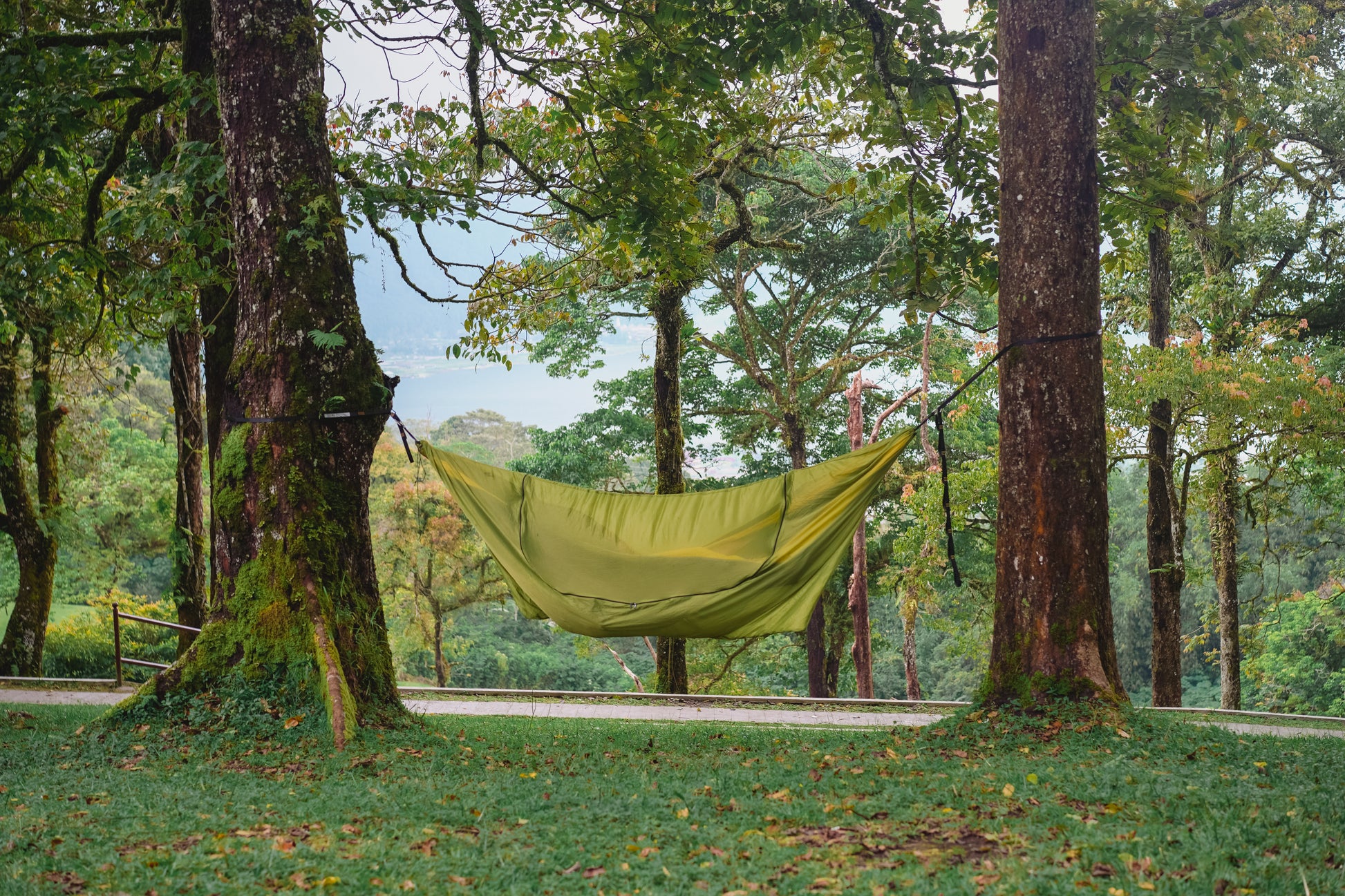 Moustiquaire 360 Vert Fermée Arbre