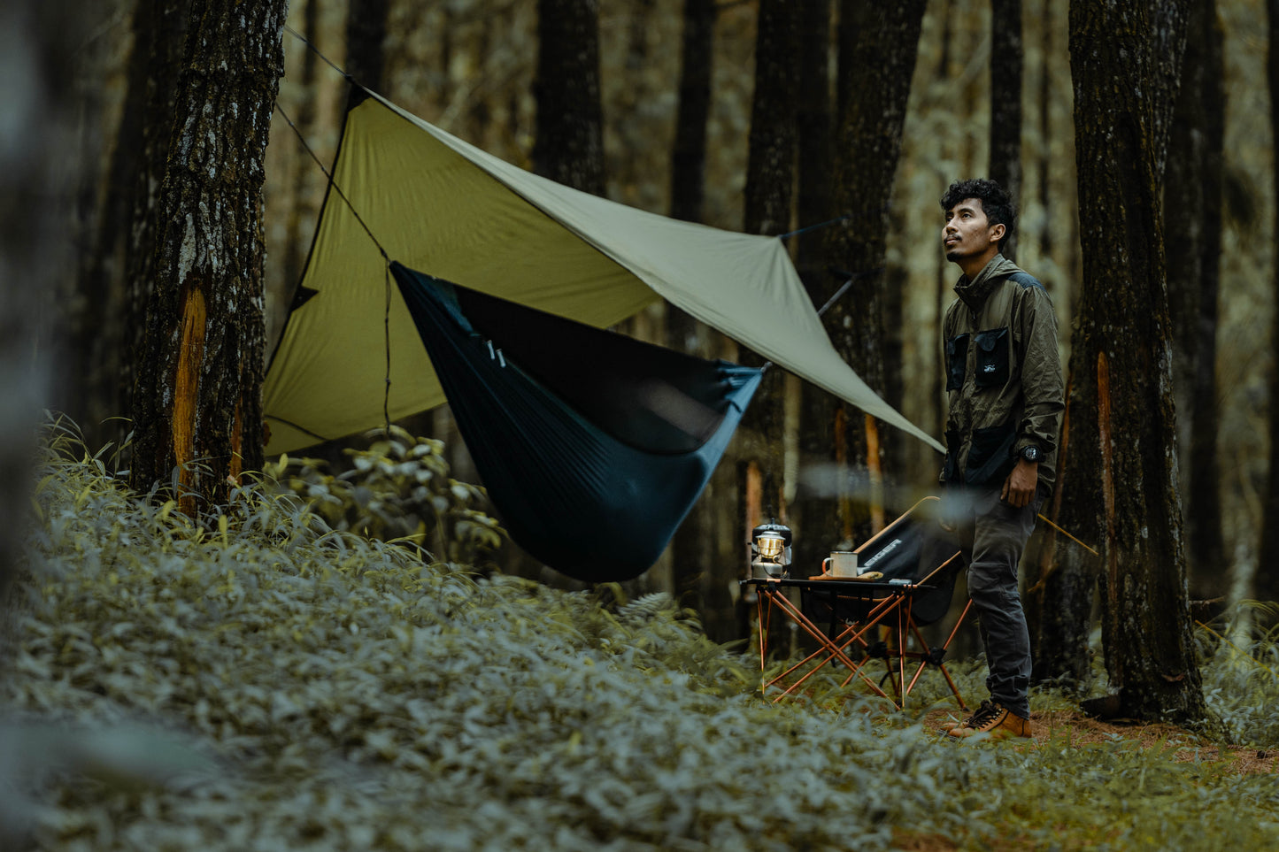 Abris Forêt Tarp Shelter Forest