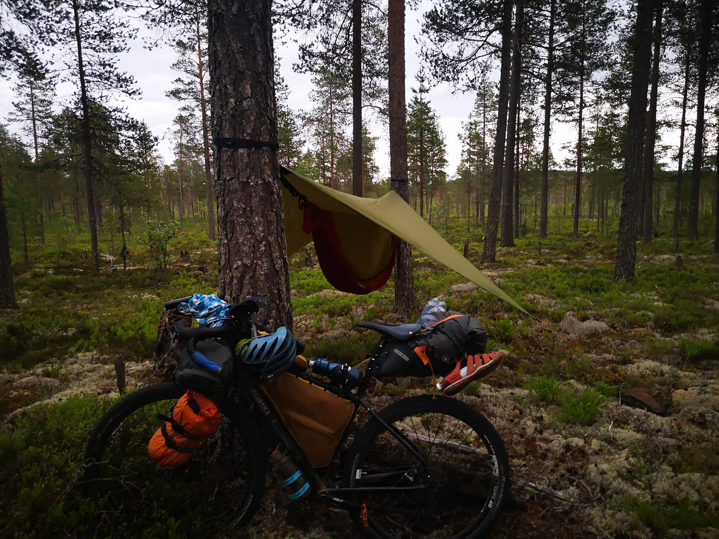 Bikepacking Forest Shelter